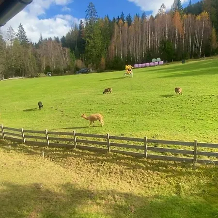 Διαμέρισμα Mai-brunn Alm Appartements, Maibrunnenweg 34-36 Bad Kleinkirchheim